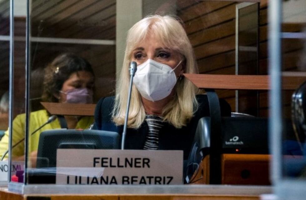 "No podemos seguir fomentando la creación de más cargos", dijo Fellner