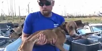 El emotivo rescate de un perrito que sobrevivió al huracán Dorian (Web)