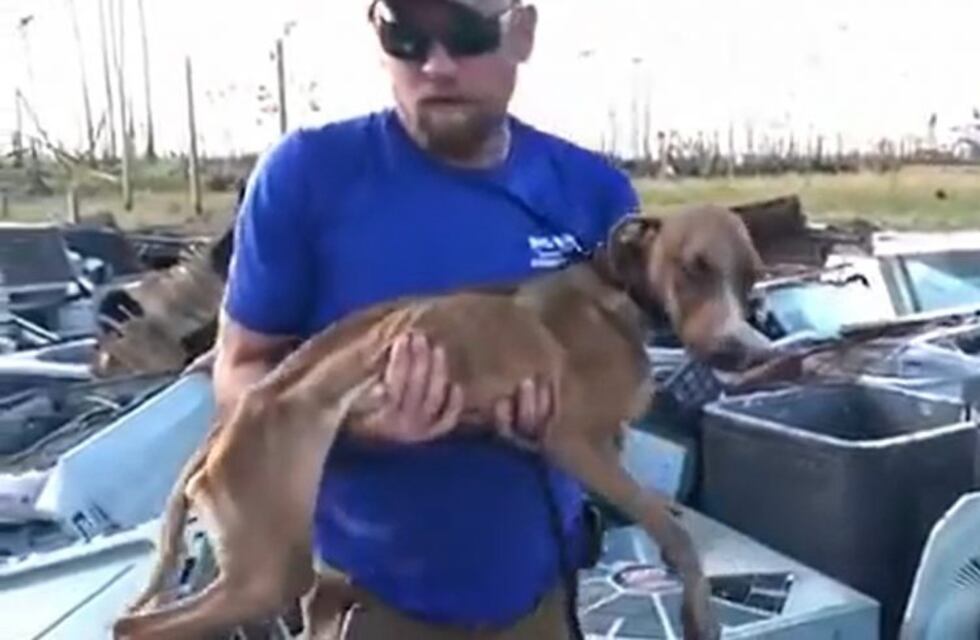 El emocionante rescate de un perro que sobrevivió un mes bajo los escombros tras el huracán Dorian