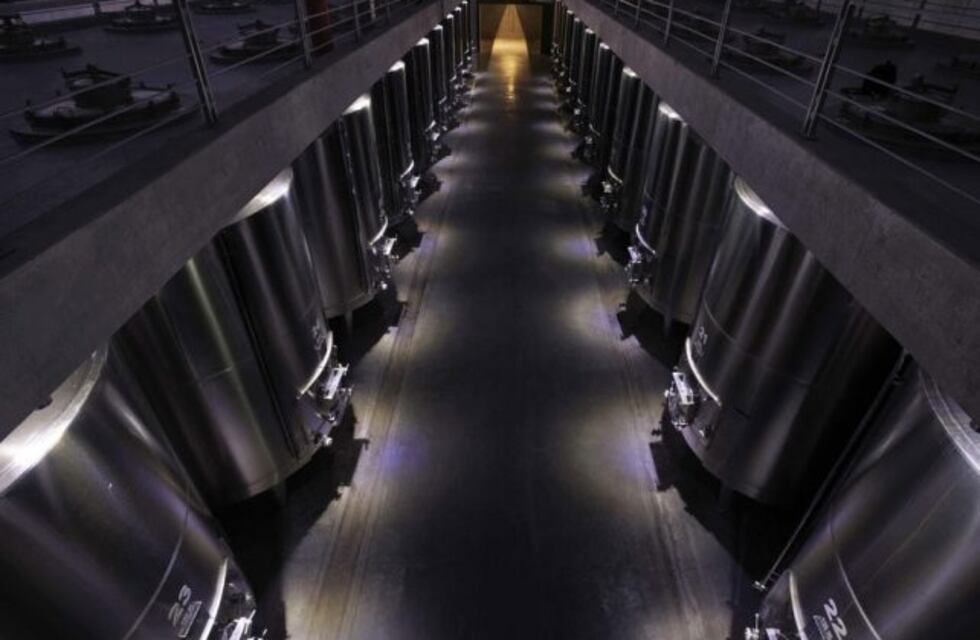 Bodegueros buscan un trato de preferencia con la Nación