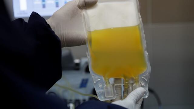 Coronavirus: casi 4\u002E000 bonaerenses recibieron tratamiento con plasma\u002E (AP)