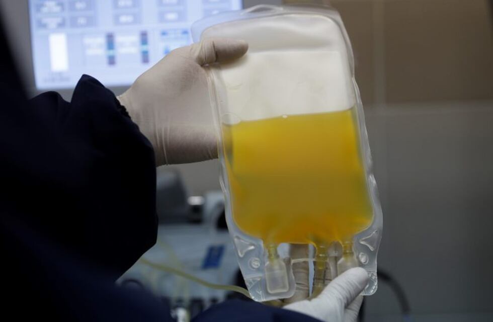 Coronavirus: casi 4.000 bonaerenses recibieron tratamiento con plasma