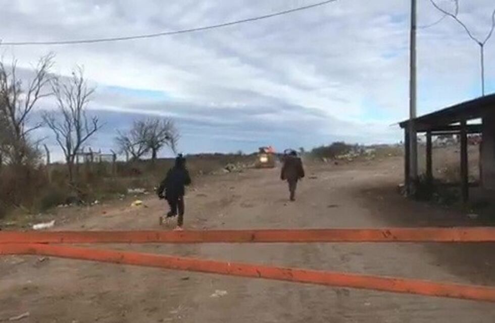 Fue a revisar la basura en Venado Tuerto y falleció arrollada por un camión
