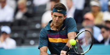 Juan Martín del Potro se anotó en el Abierto de Australia\u002E (REUTERS)