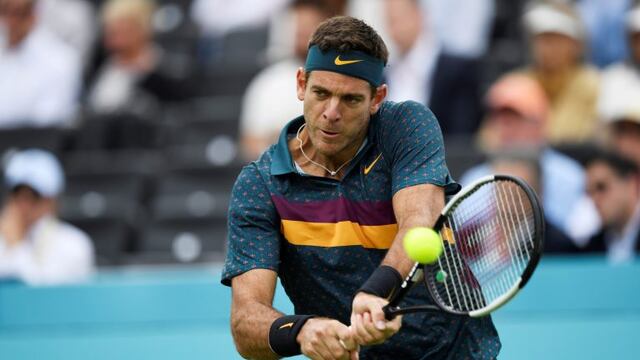 Juan Martín del Potro se anotó en el Abierto de Australia\u002E (REUTERS)