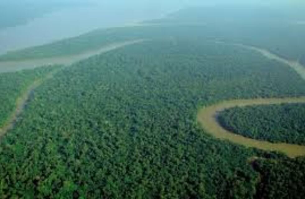 #Misiones se suma a las Naciones Unidas y su New York Declaration Forest