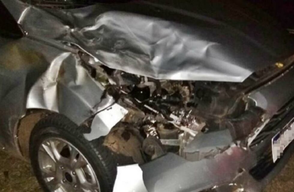 Un entrerriano chocó una vaca y se le destrozó el auto