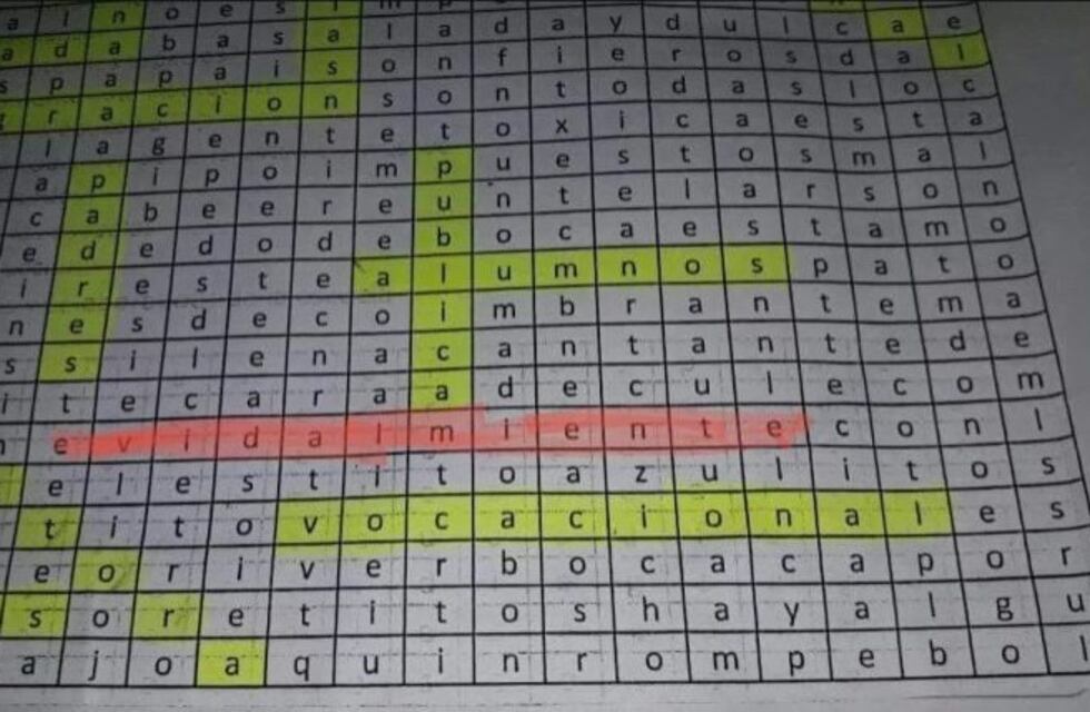 Un docente escribió "Macri gato" y "Vidal miente" en un crucigrama que dio a sus alumnos