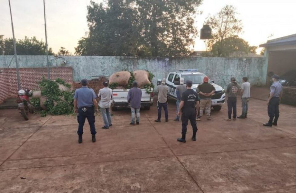 Un detenido y seis demorados por un robo de hoja yerba mate