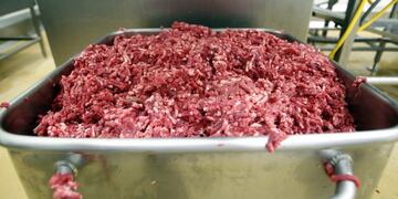 A bin of ground beef is seen at a meat processing facility in Riverside, California in this file photo taken March 29, 2012\u002E A Kansas meatpacker has recalled 50,100 pounds of ground beef that may be contaminated with the E\u002E coli bacteria, the U\u002ES\u002E Department of Agriculture's Food Safety and Inspection Service said\u002E REUTERS/Alex Gallardo/Files (UNITED STATES - Tags: FOOD BUSINESS) eeuu california carne picada