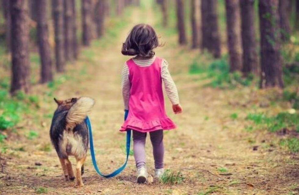 Un video capturó a un perro alertando a una niña para que deje de ver televisión cuando llega su papá