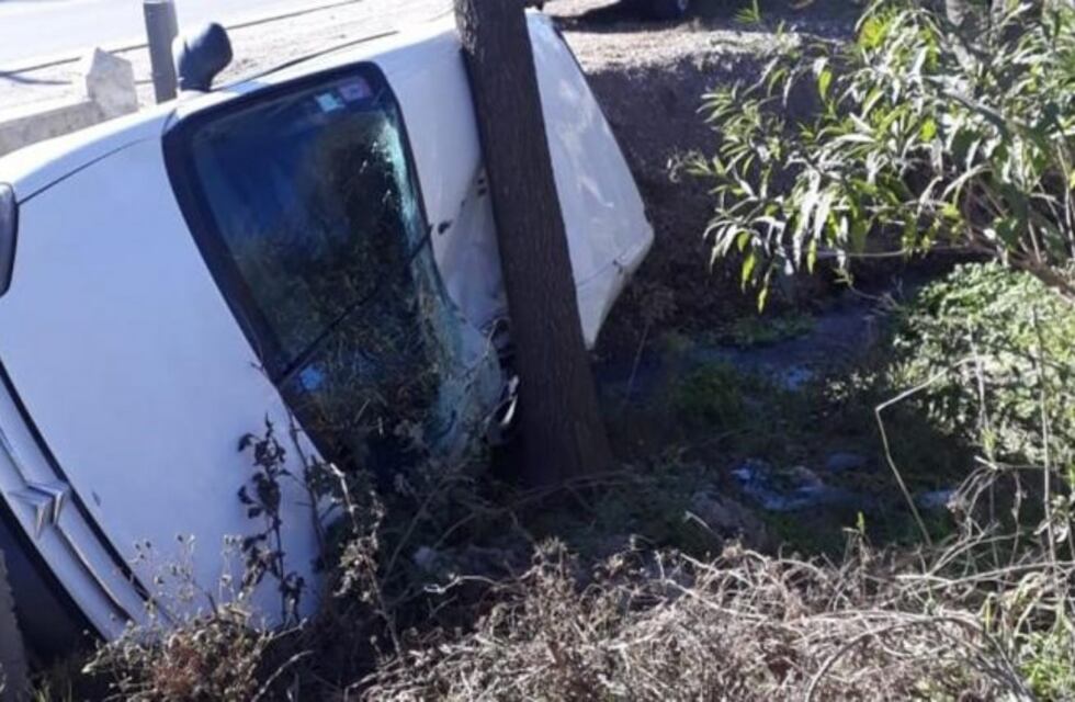 Conductor esquivó un caballo y cayó en una zanja