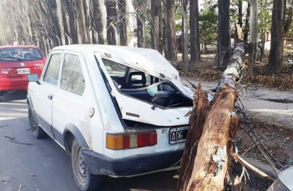 El viento zonda provocó incendios e hizo destrozos en San Rafael y Malargüe