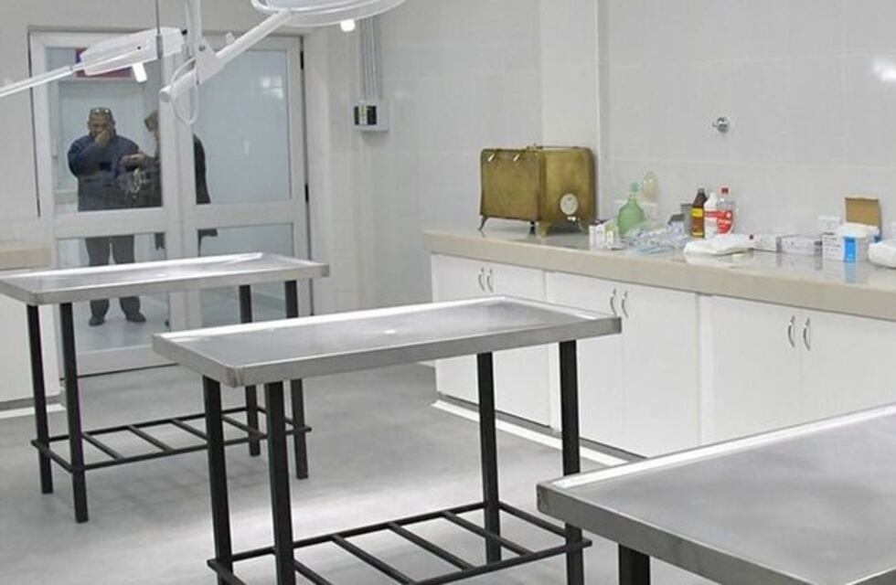 Advierten que el Hospital de Mascotas es para familias con bajos recursos