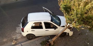 auto arrancó árbol