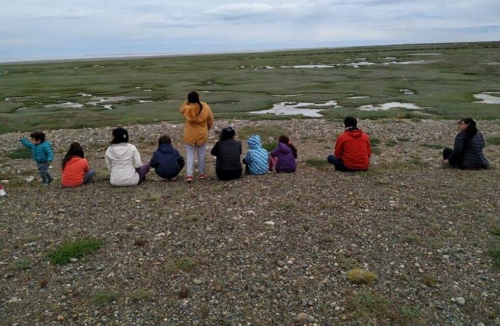 Se realizará el Festival de Aves Playeras en forma virtual