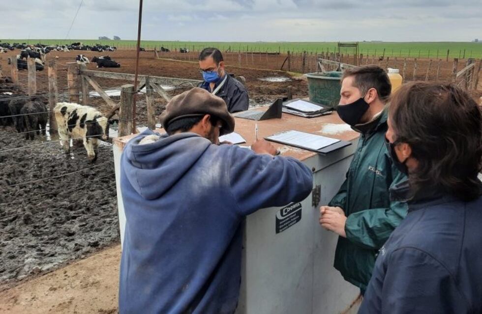 Denuncian que un peón analfabeto de Rufino pasó 20 años en situación de trata