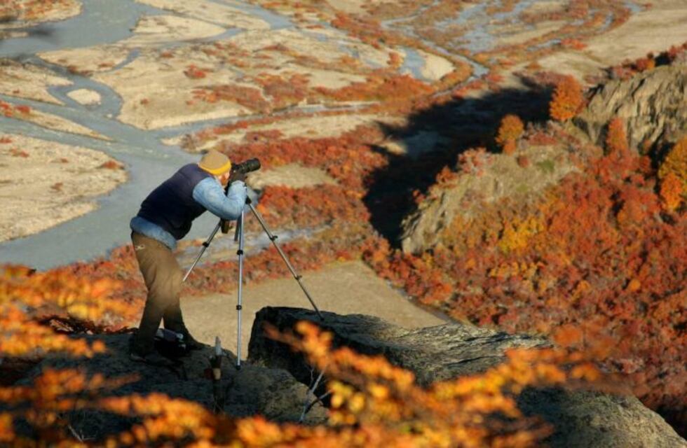 Primera muestra En Transito 2020