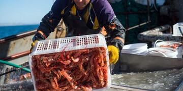 Mar del Plata se convirtió en el puerto líder en descargas de calamar (Foto: Revista Puerto)