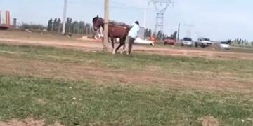 Maltrato a caballo en la zona de Mendoza al 9000\u002E (Captura)