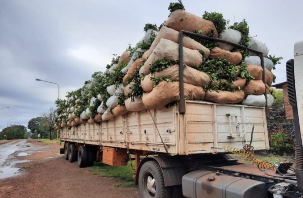 Secuestran camión que transportaba hojas de yerba mate por irregularidades en la documentación