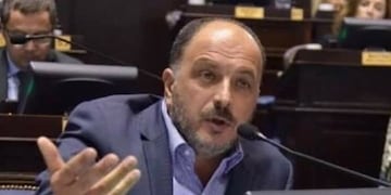 Diputado Pablo Garate