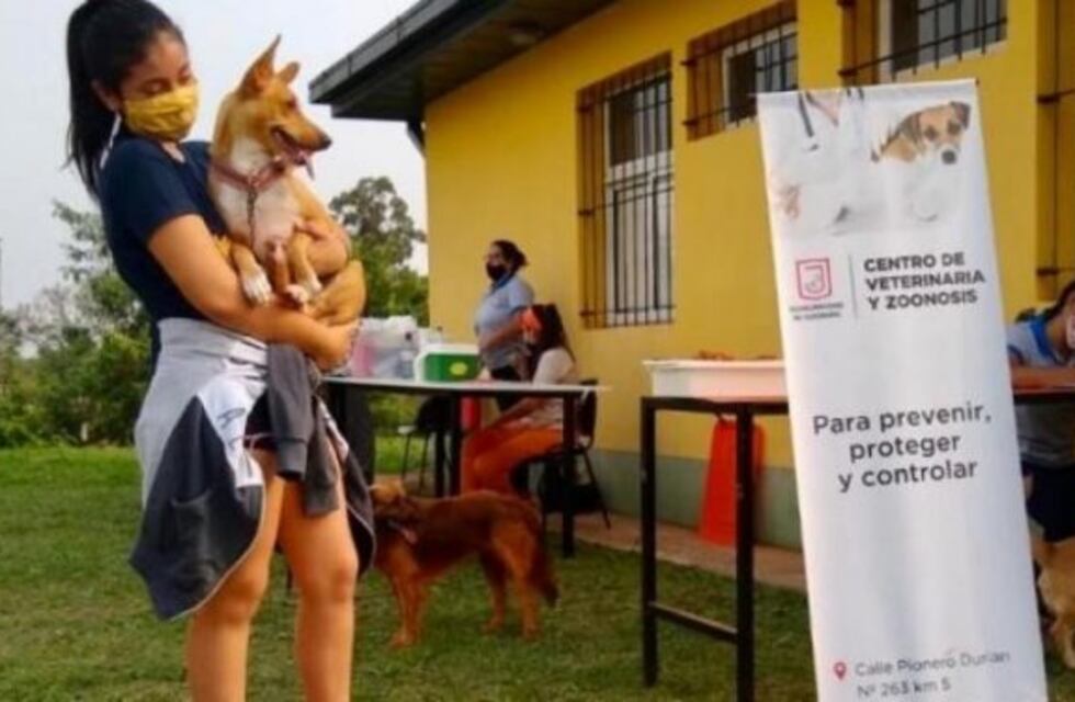 En lo que va del año la dirección de Zoonosis inyectó más de 8.800 vacunas