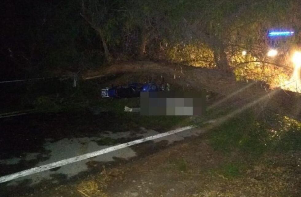 Accidente fatal: chocó contra un árbol, se le cayó encima y murió