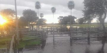 El Decreto comprende establecimientos rurales afectados por la crecida y desborde, por encima de la media, del rio Pilcomayo y bañado La Estrella entre otros