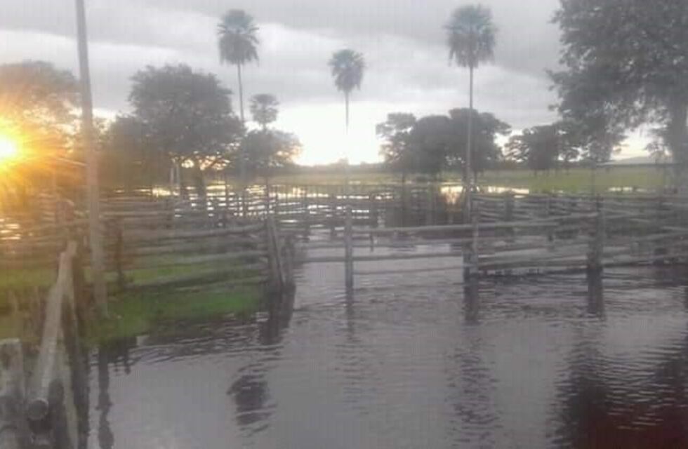 Formosa: el Poder Ejecutivo decretó la emergencia agropecuaria