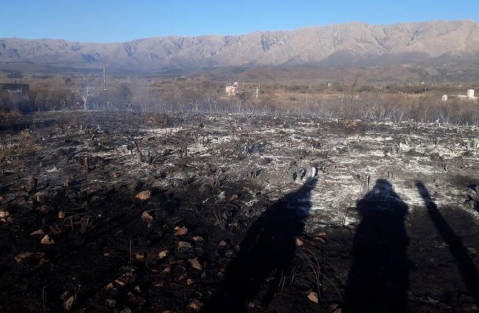 Se produjo un incendio por arrojar cenizas