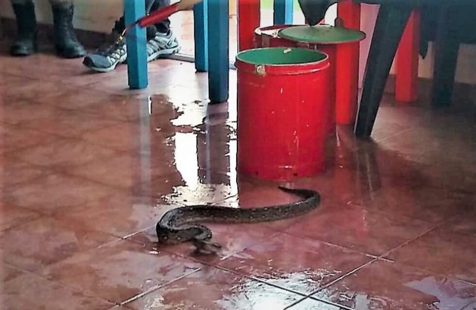 Potrero de Garay: charla de reconocimiento de animales venenosos