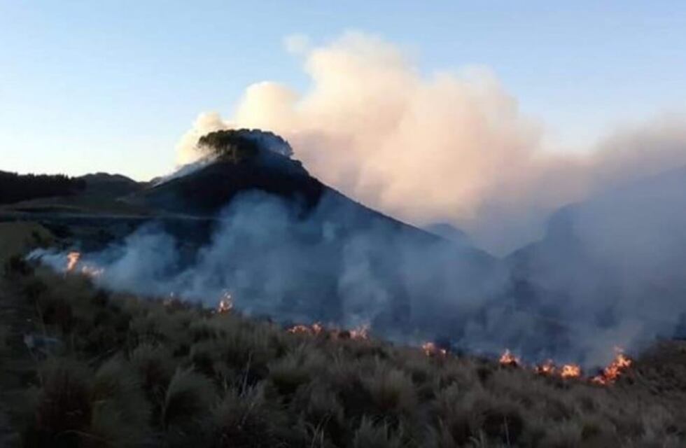 Cerca de dos mil hectáreas afectadas por el incendio en Río de los Sauces