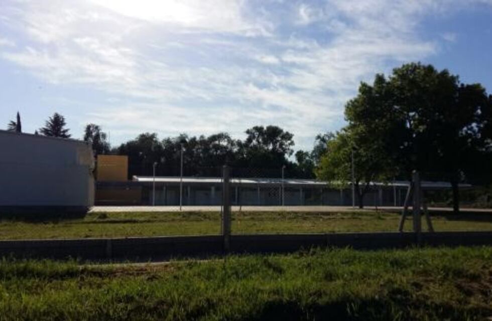 Alumno de siete años golpeó a los compañeros, a la profesora y hasta a la directora