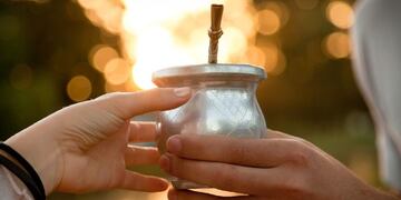 La fórmula secreta del mate argentino según los bahienses