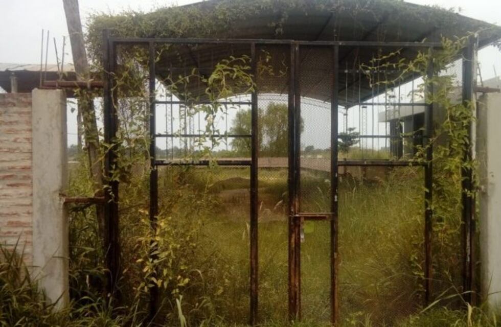 Le mando un video a su ex pareja donde le decía que se iba a matar