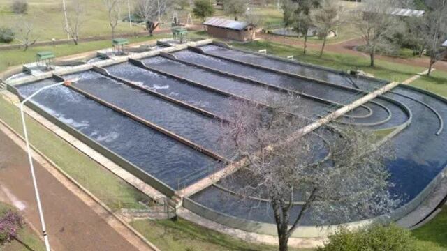 Detectaron derrame de residuos hidrocarburos en la red cloacal de Oberá