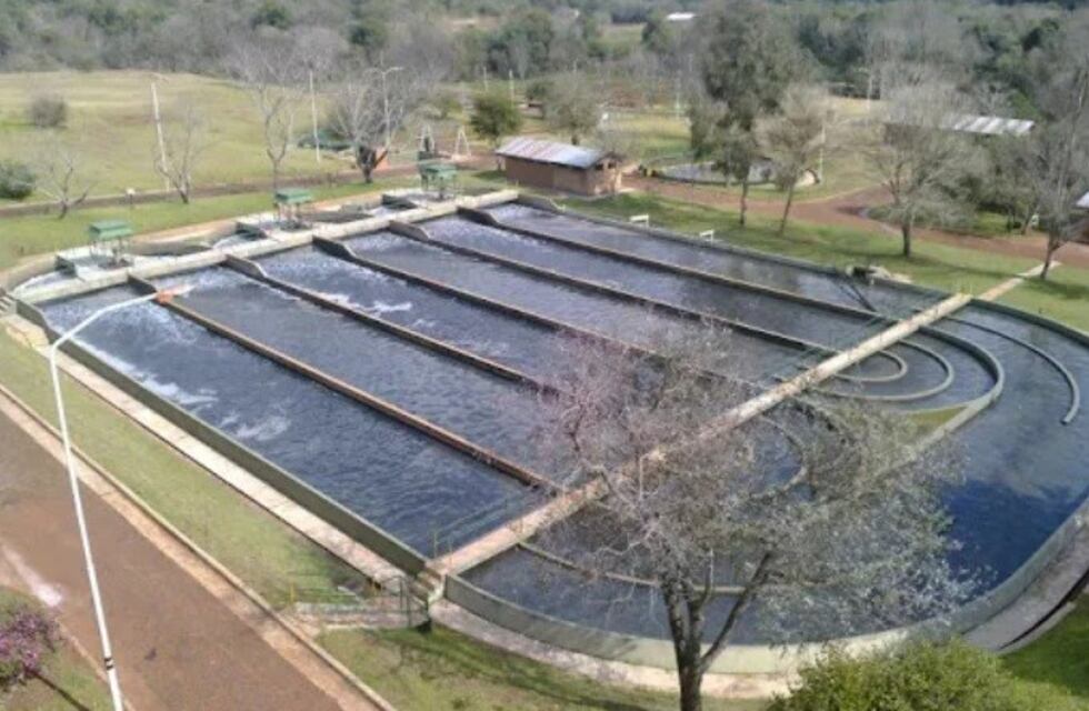 Detectaron derrame de residuos hidrocarburos en la red cloacal de Oberá