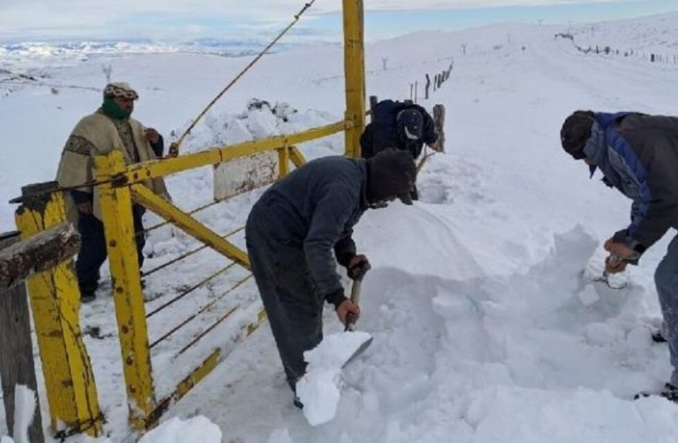 Asistieron a 22 familias de Pilcaniyeu varadas por la nieve