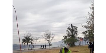 Nueva jornada de plantación en Carlos Paz