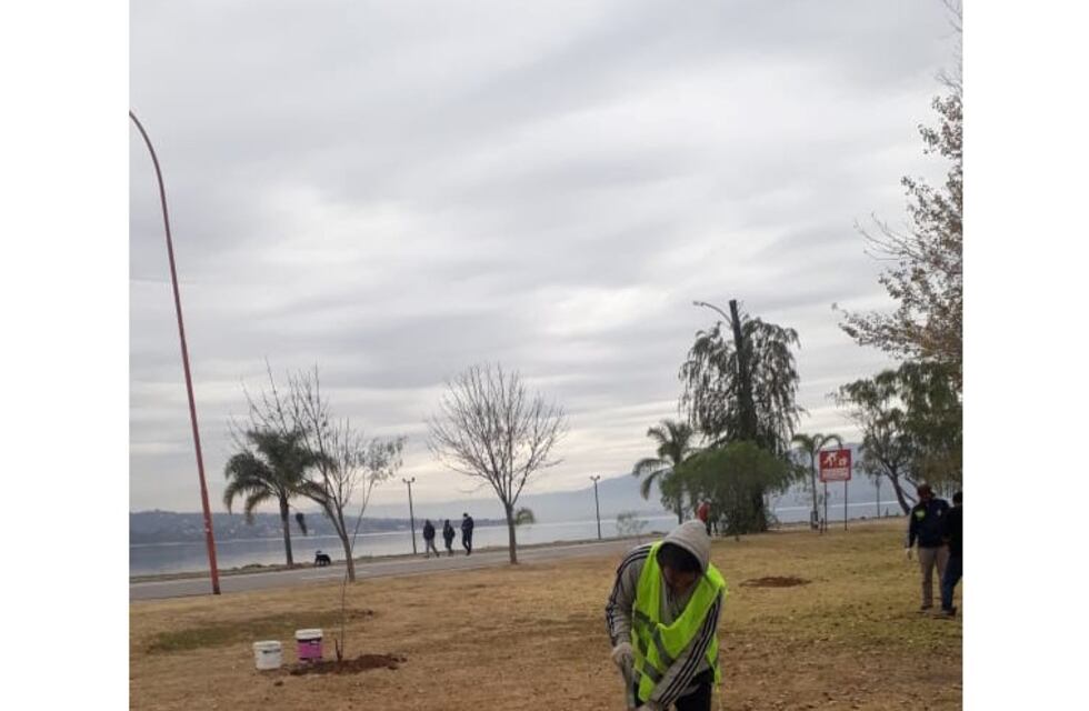Nueva jornada de forestación en Carlos Paz