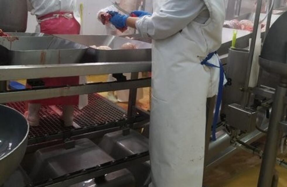 Santa Cruz exporta 15 toneladas de carne ovina a Japón