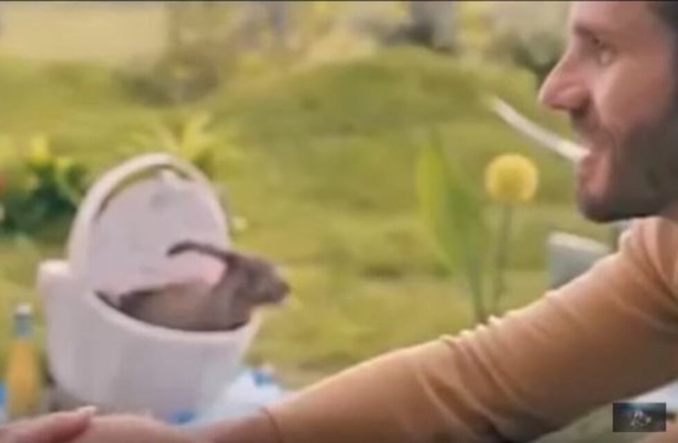 Insólito: En Polonia pide a los ciudadanos que se reproduzcan 'como conejos'