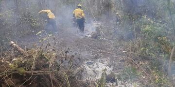 Lucha contra incendios forestales en Jujuy