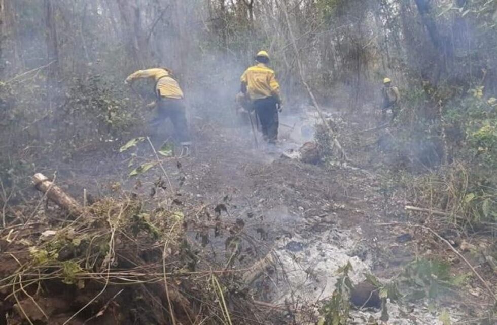 Brigadistas jujeños combatirán incendios forestales en El Bolsón