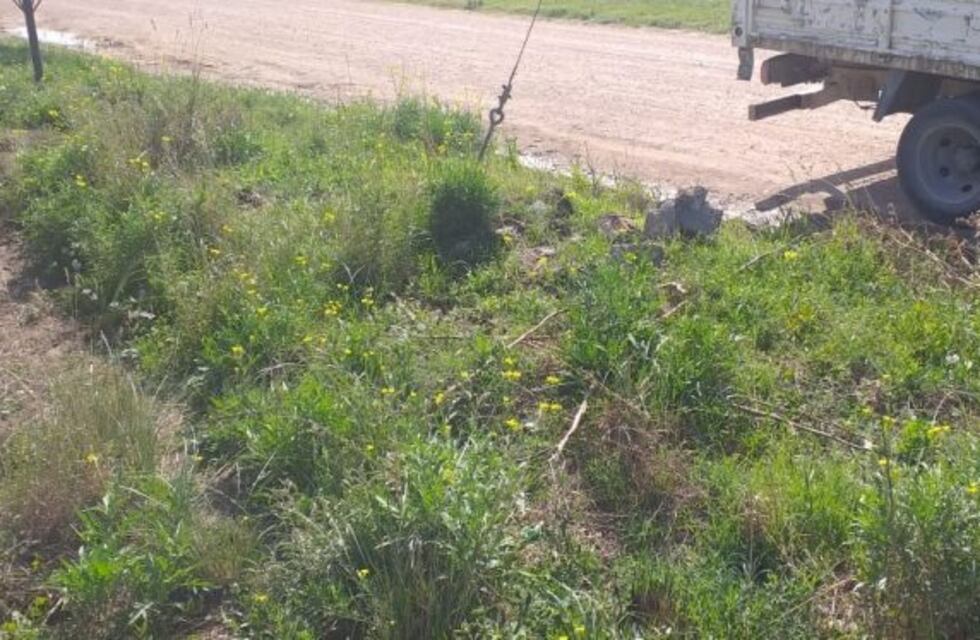 Villa Allende: inspeccionarán baldíos y multarán si no se encuentran en condiciones