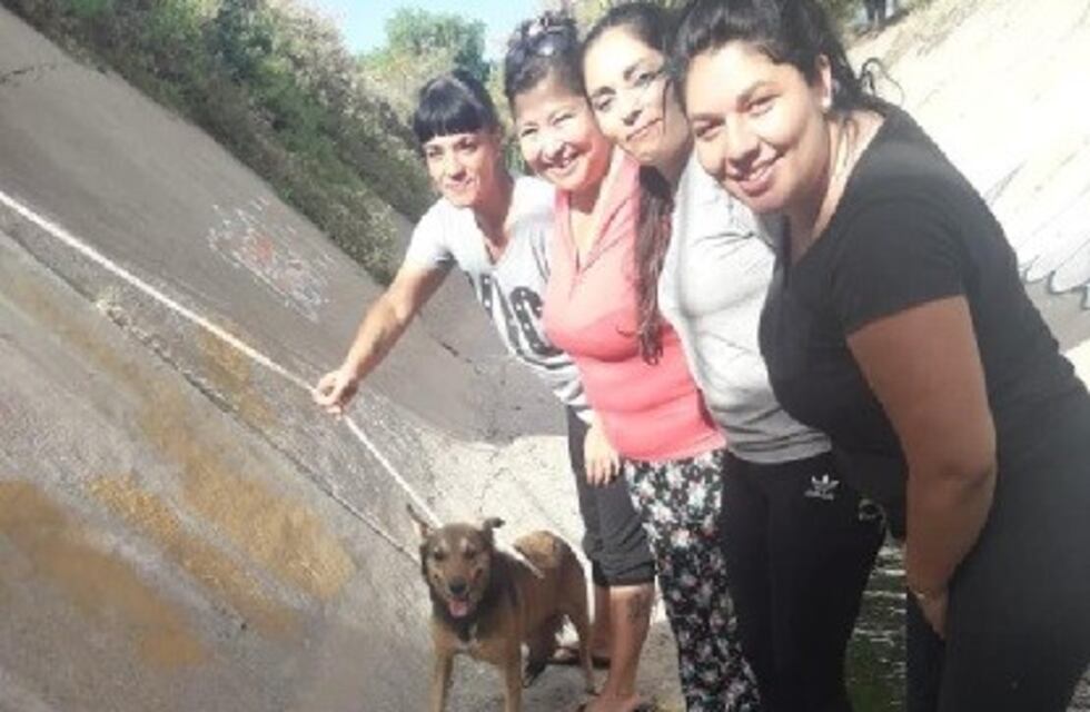 Mujeres rescataron a una perra que estaba en un zanjón hacía cinco días