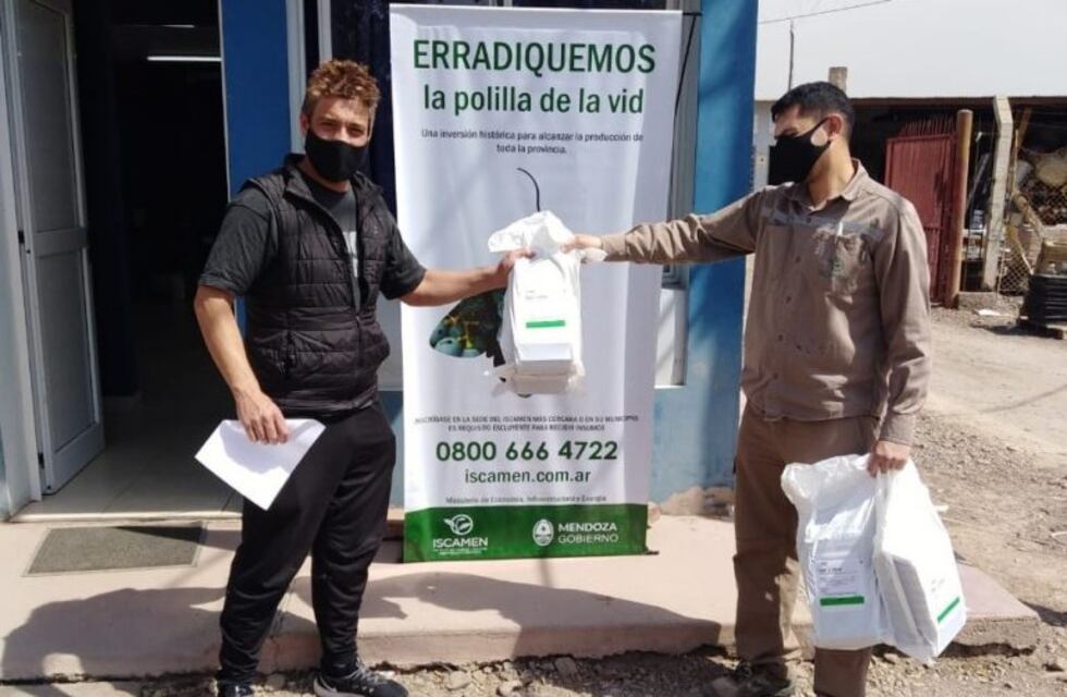Entregan difusores de feromona a productores para el control de la polilla de la vid