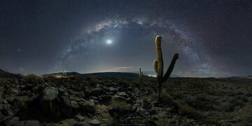 Fotografía Ganadora