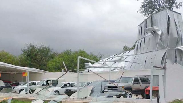 El viento sur, con violentas ráfagas, bajó la temperatura y causó destrozos.